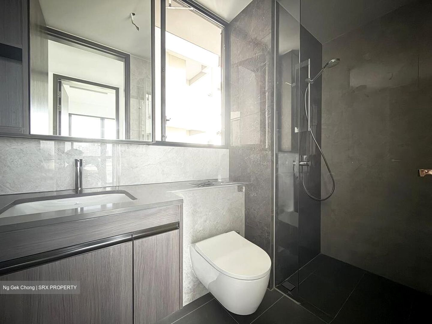 Tembusu Grand (D15), Condominium #516724361